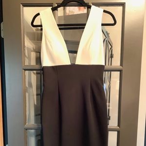 Alice and Olivia Dress